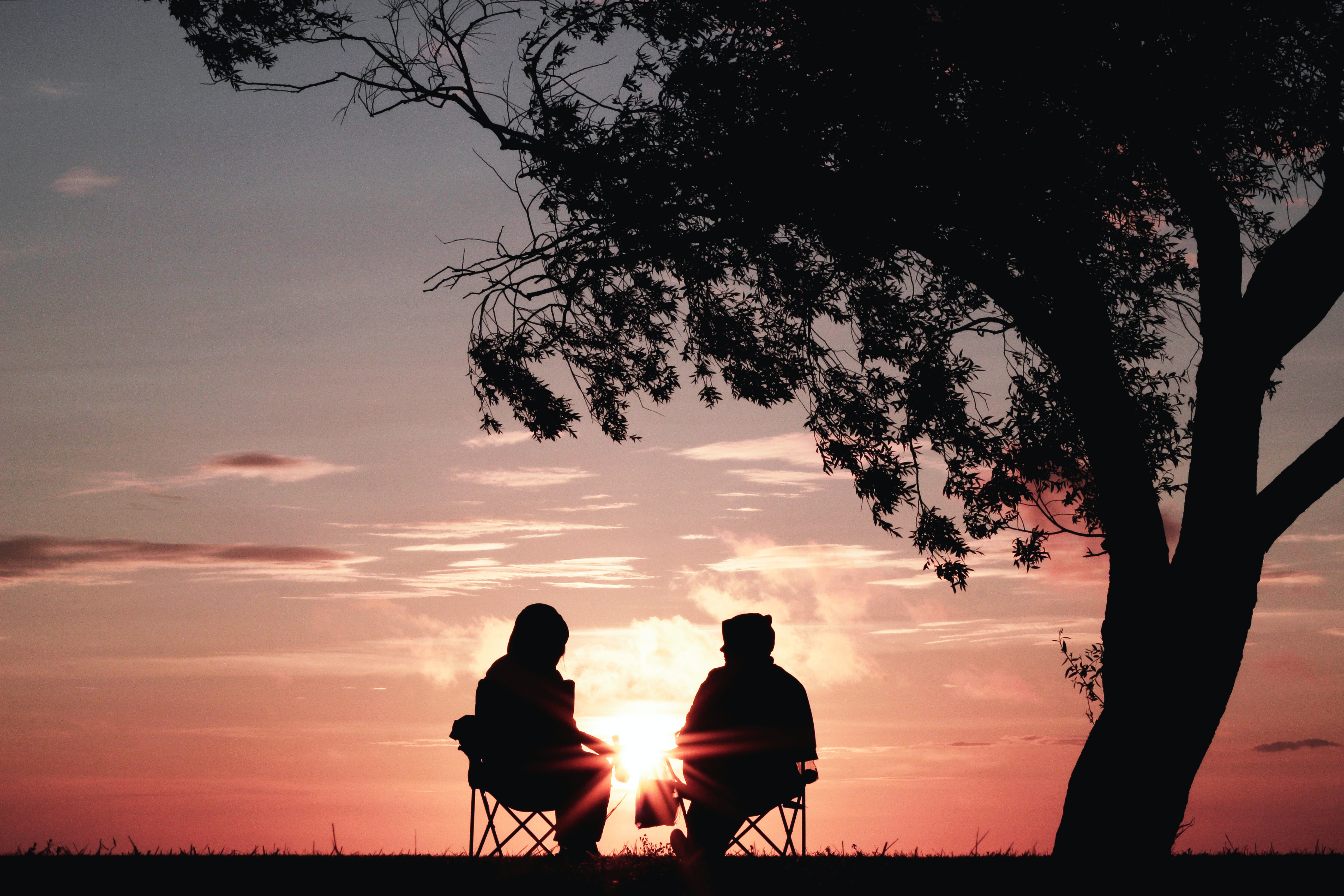 Two people sitting under a tree watching the sunset