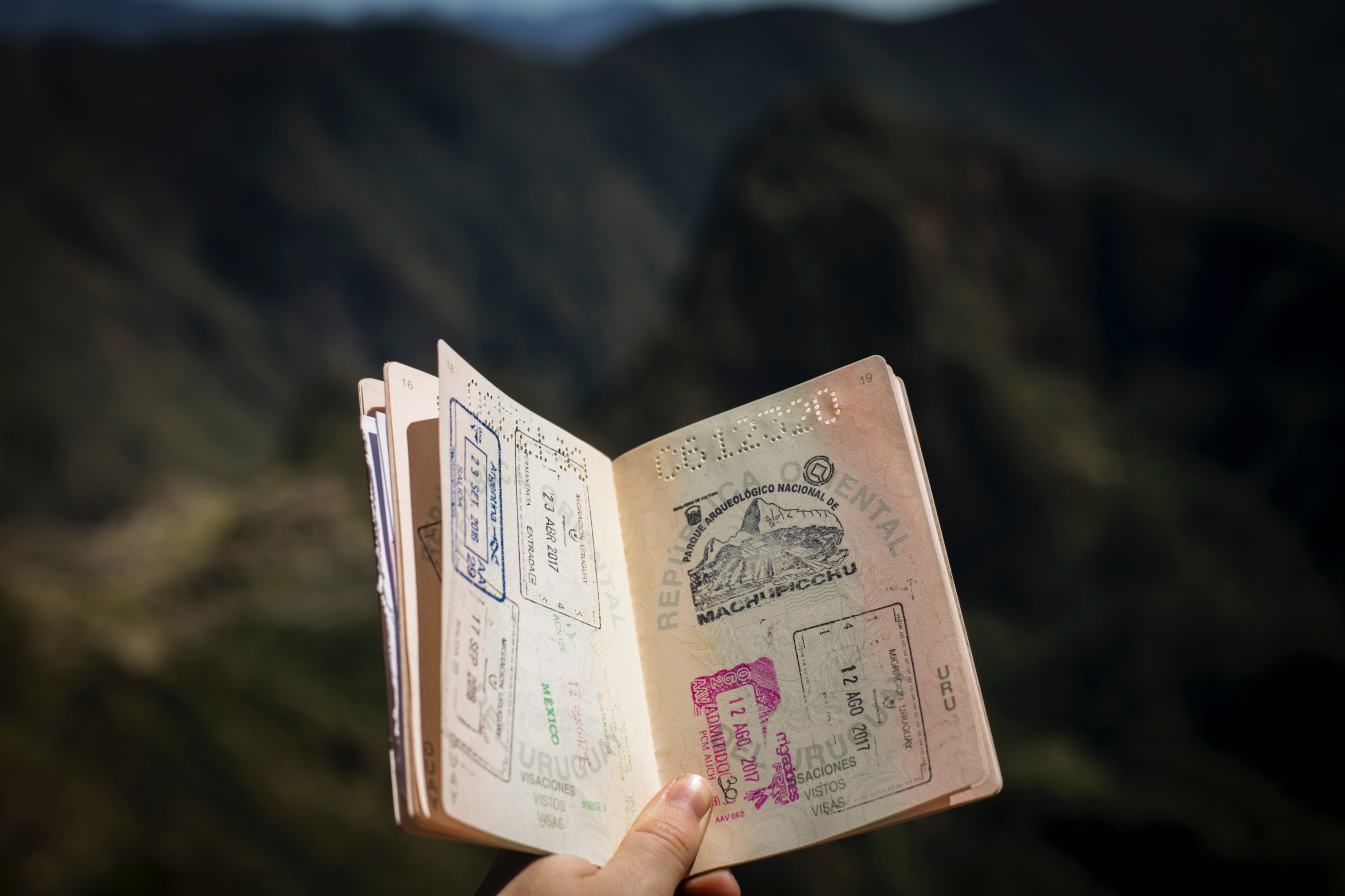 person holding passport