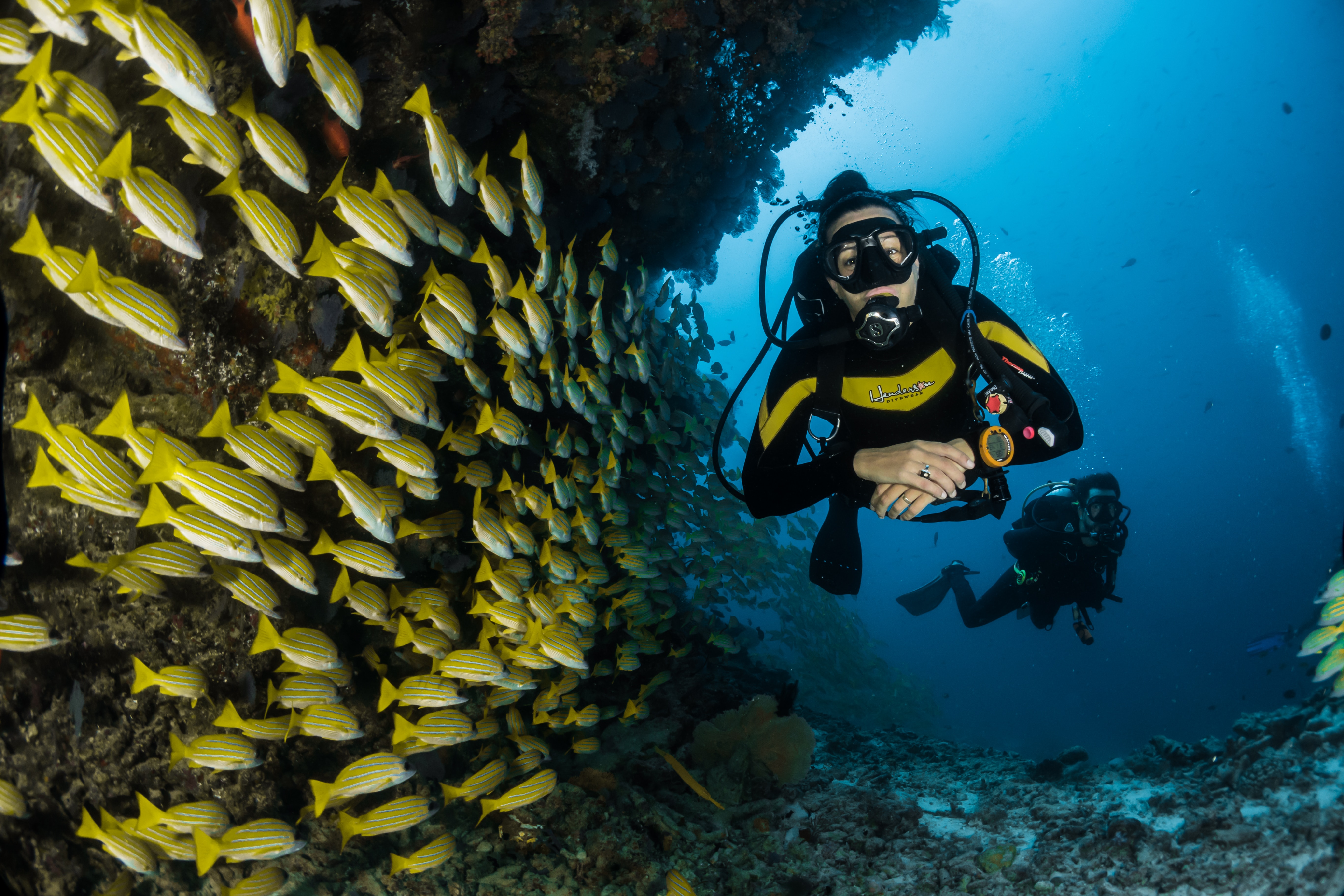 two people scuba diving under water